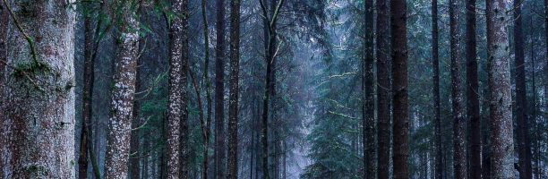 Slider Banner
